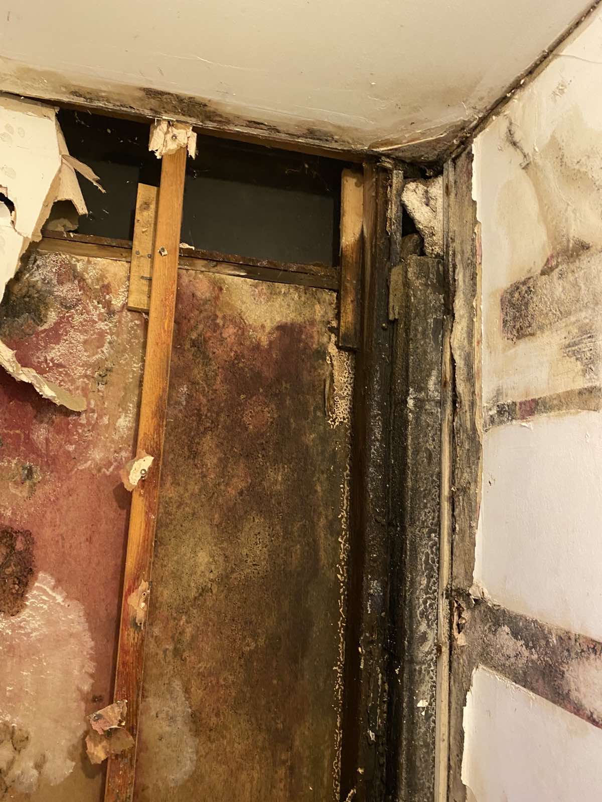Mold Before