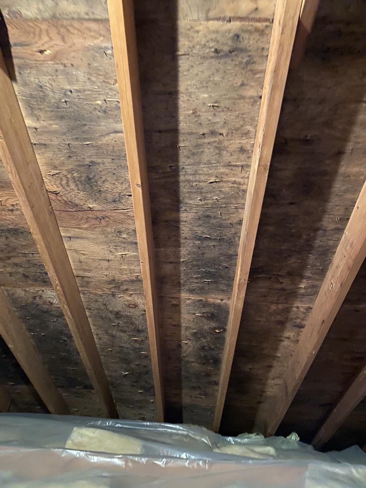 Mold Before 2