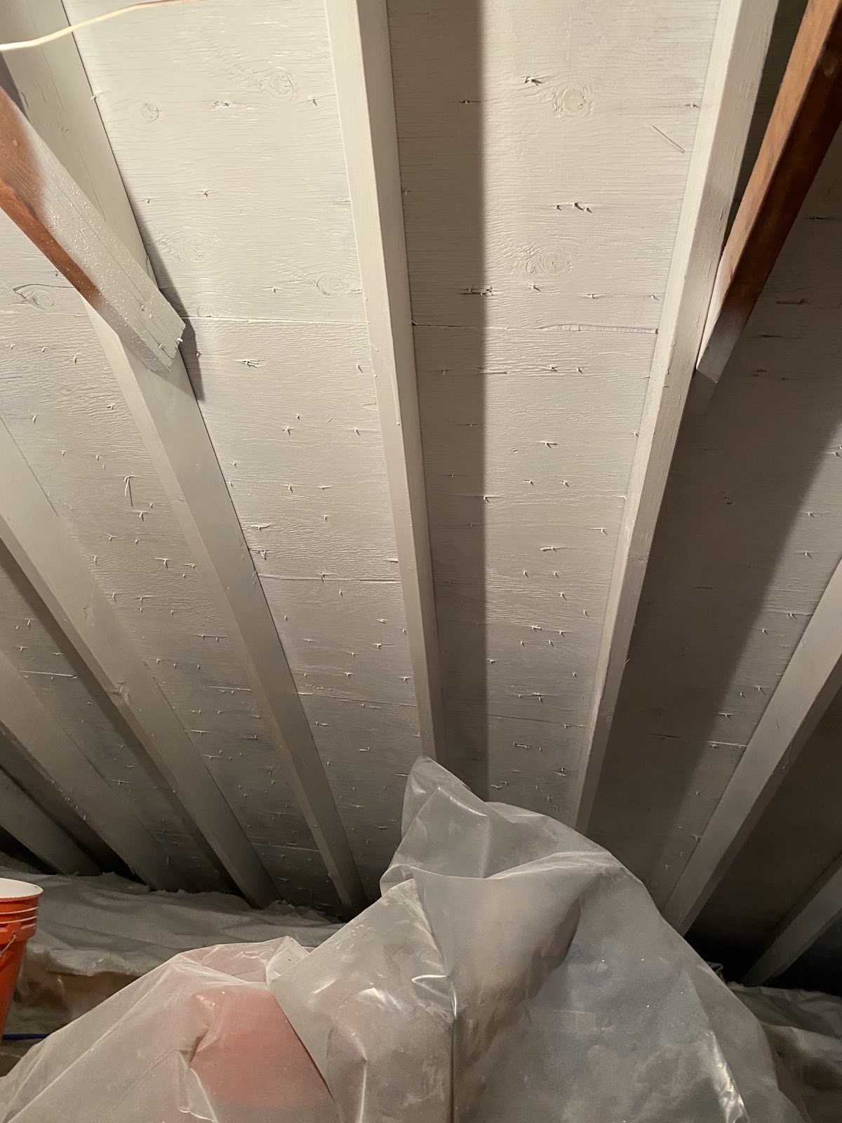 Mold After 2