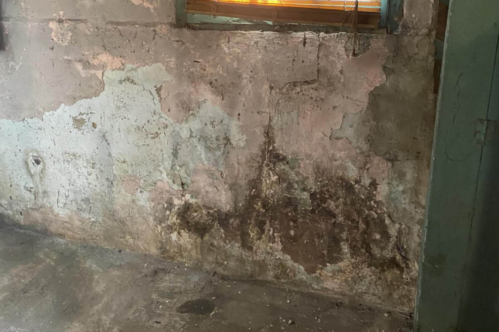 Mold Remediation Services In Basking Ridge