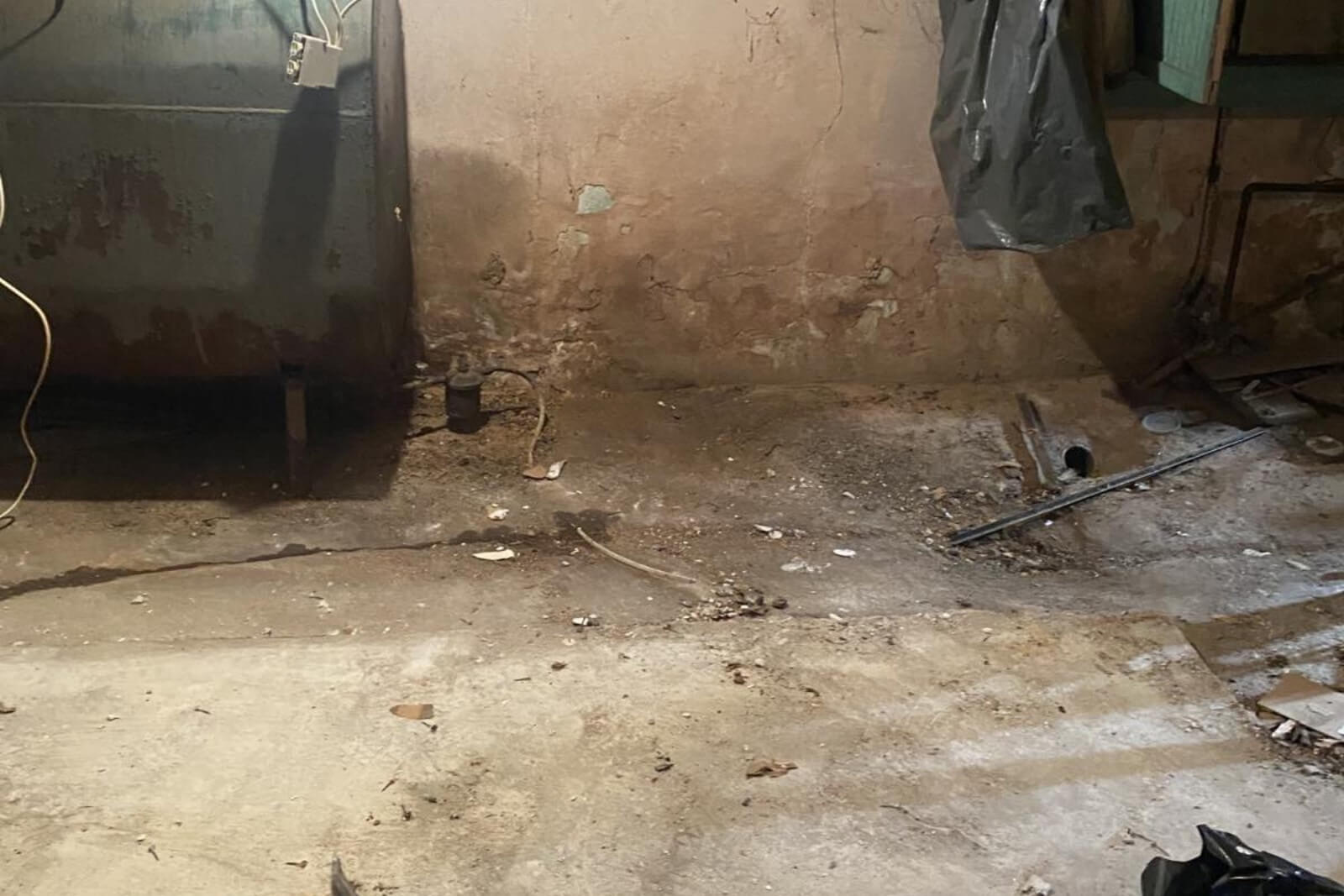 Mold Remediation Services In Waldwick
